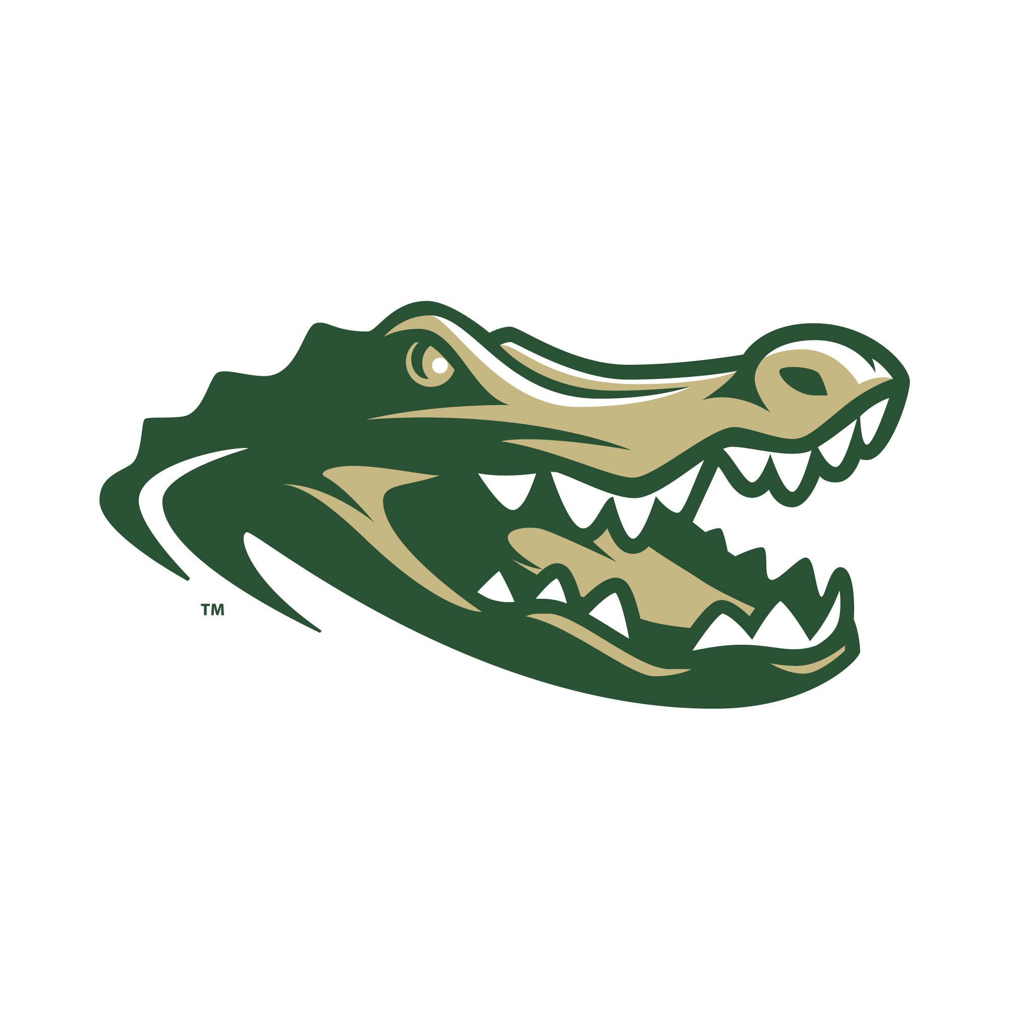 island-coast-gators-vs-estero-wildcats-baseball-mar-4-2025